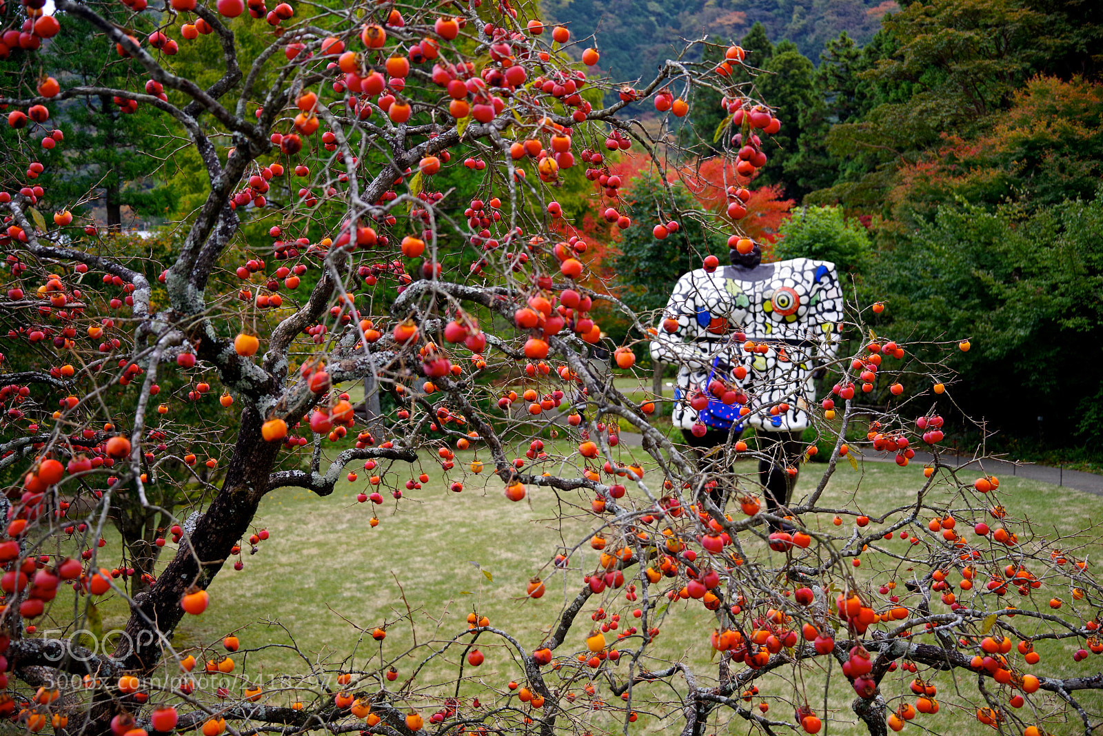 Pentax K-1 sample photo. Open air museum photography