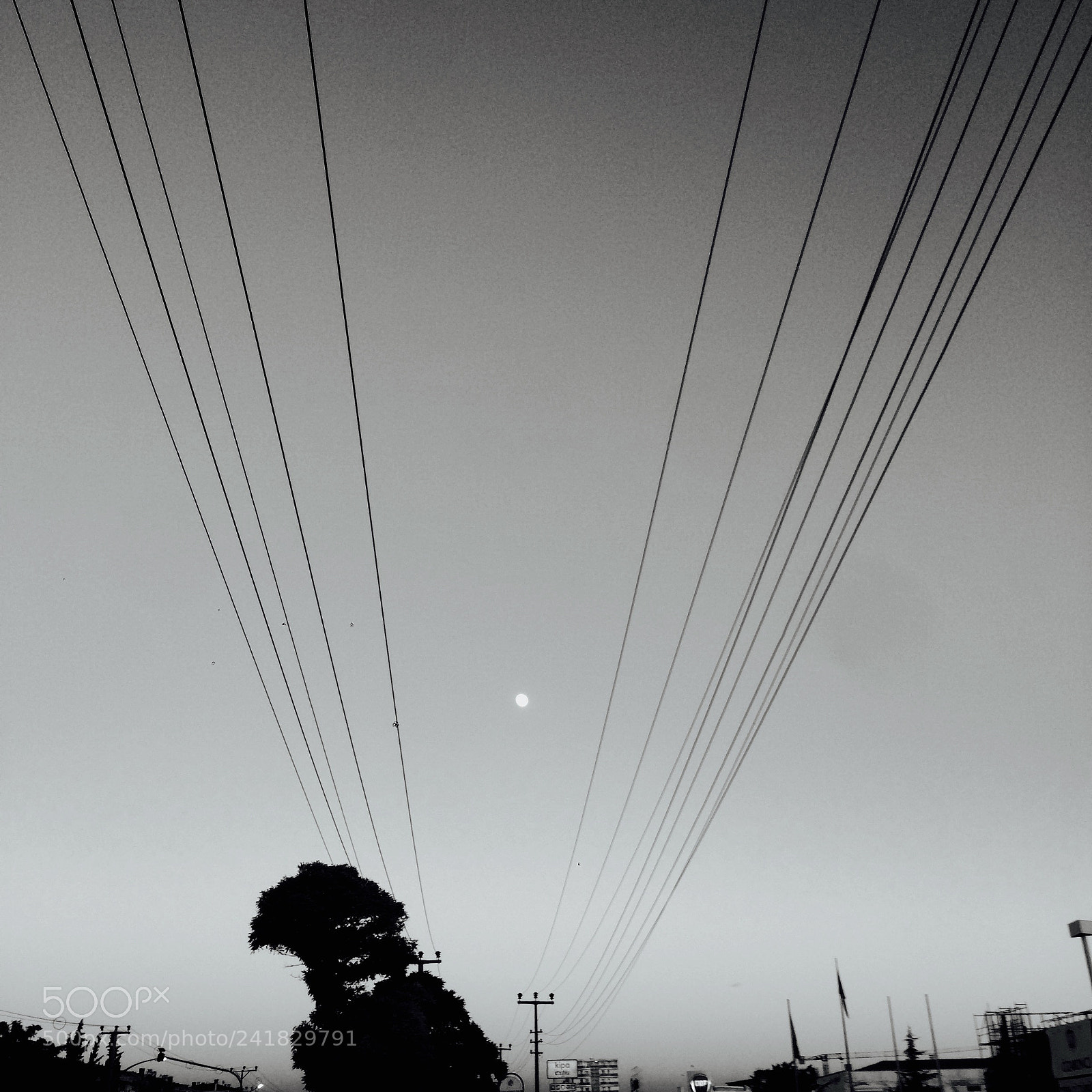 Apple iPhone 5s sample photo. 29007235205.jpg photography