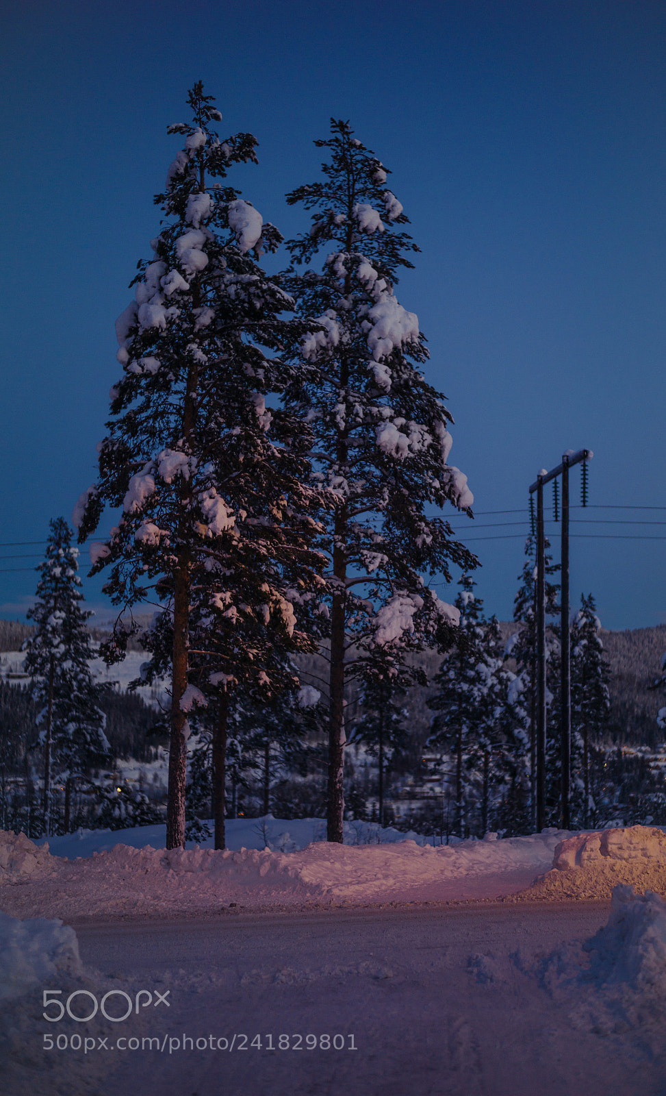 Leica M9 sample photo. Untitled photography