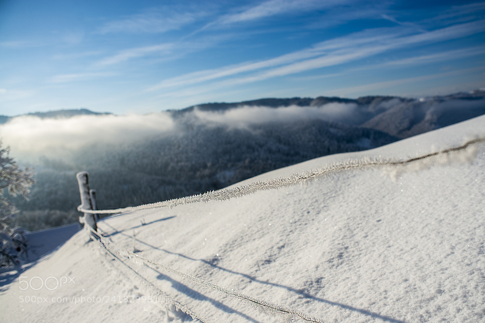 Nikon D600 sample photo. I miss winter photography
