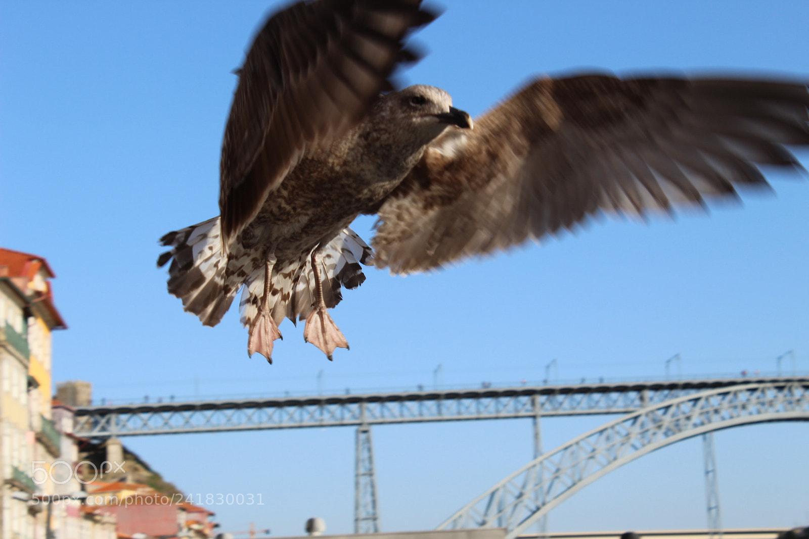 Canon EOS 1300D (EOS Rebel T6 / EOS Kiss X80) sample photo. Take off photography