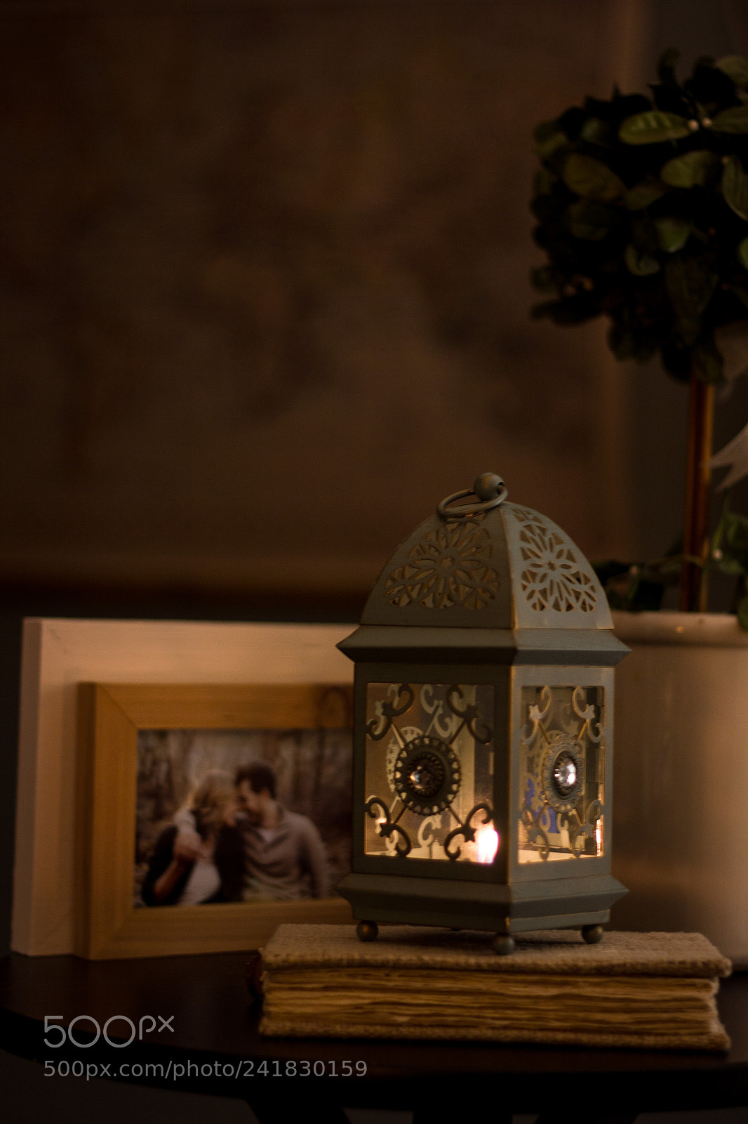 Canon EOS 550D (EOS Rebel T2i / EOS Kiss X4) sample photo. Cozy winter photography