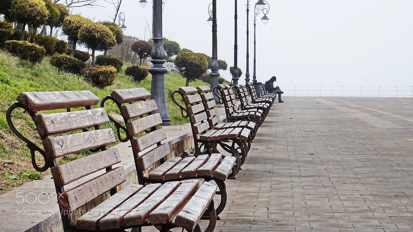 Sony DSC-HX60 sample photo. Alone photography