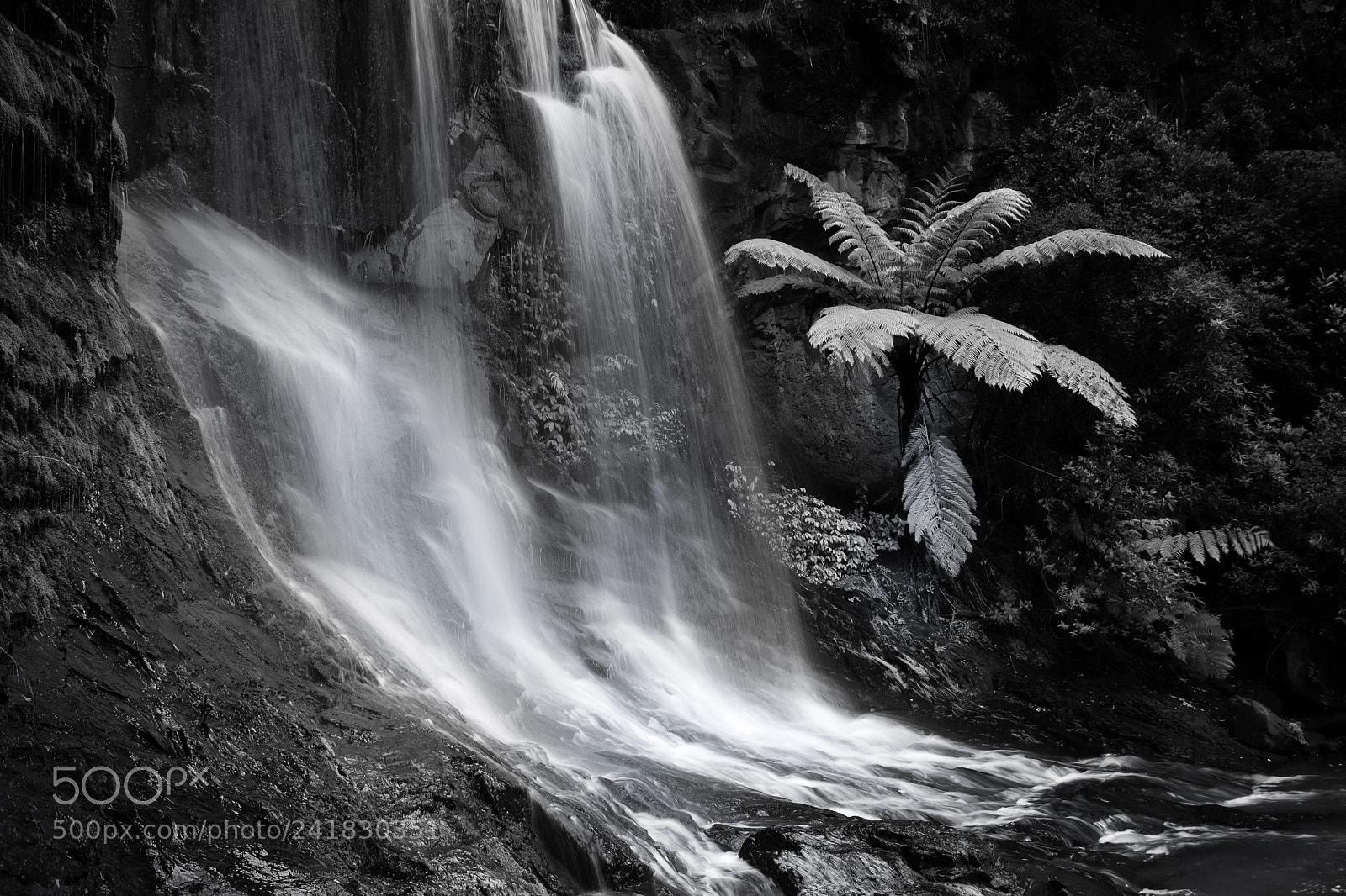 Nikon D5500 sample photo. The waterfall and the photography