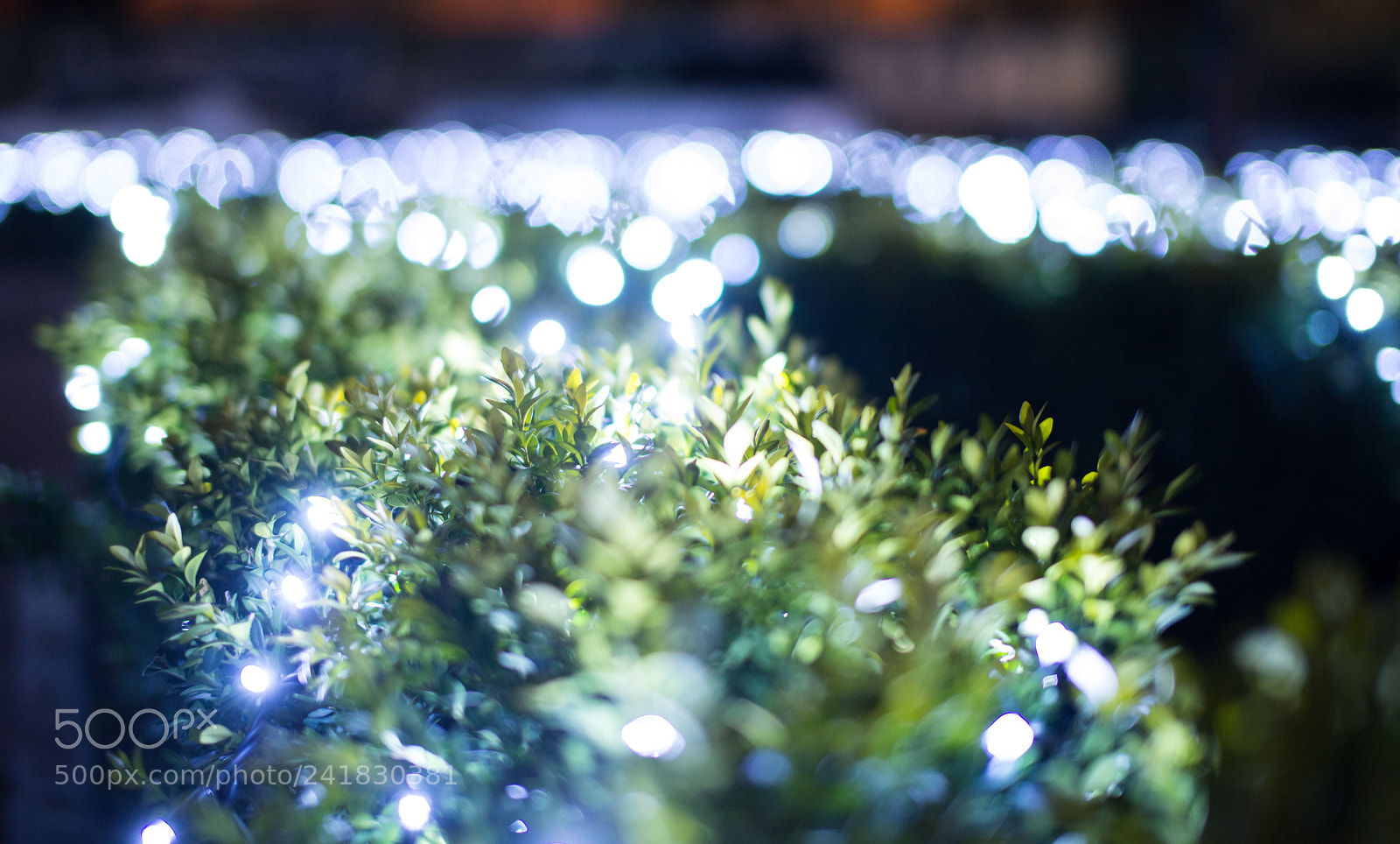 Nikon D800 sample photo. New year lights photography