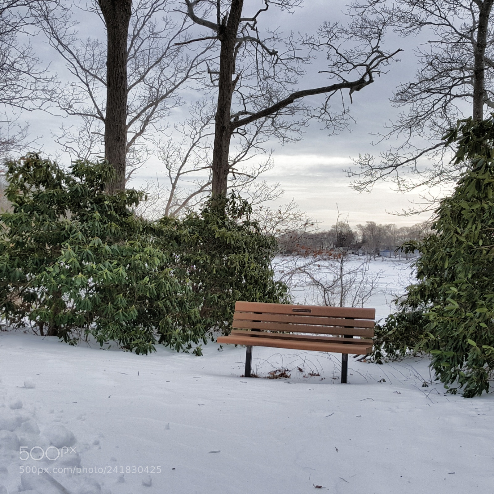 Samsung Galaxy S6 sample photo. Park bench photography