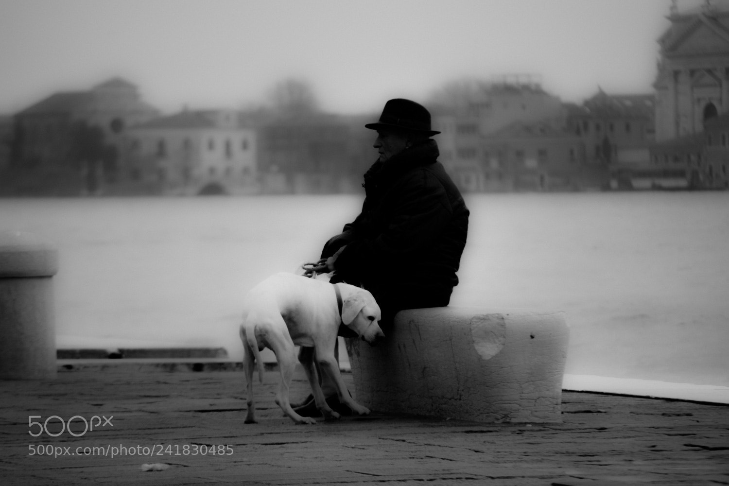Nikon D5500 sample photo. A venezia... photography