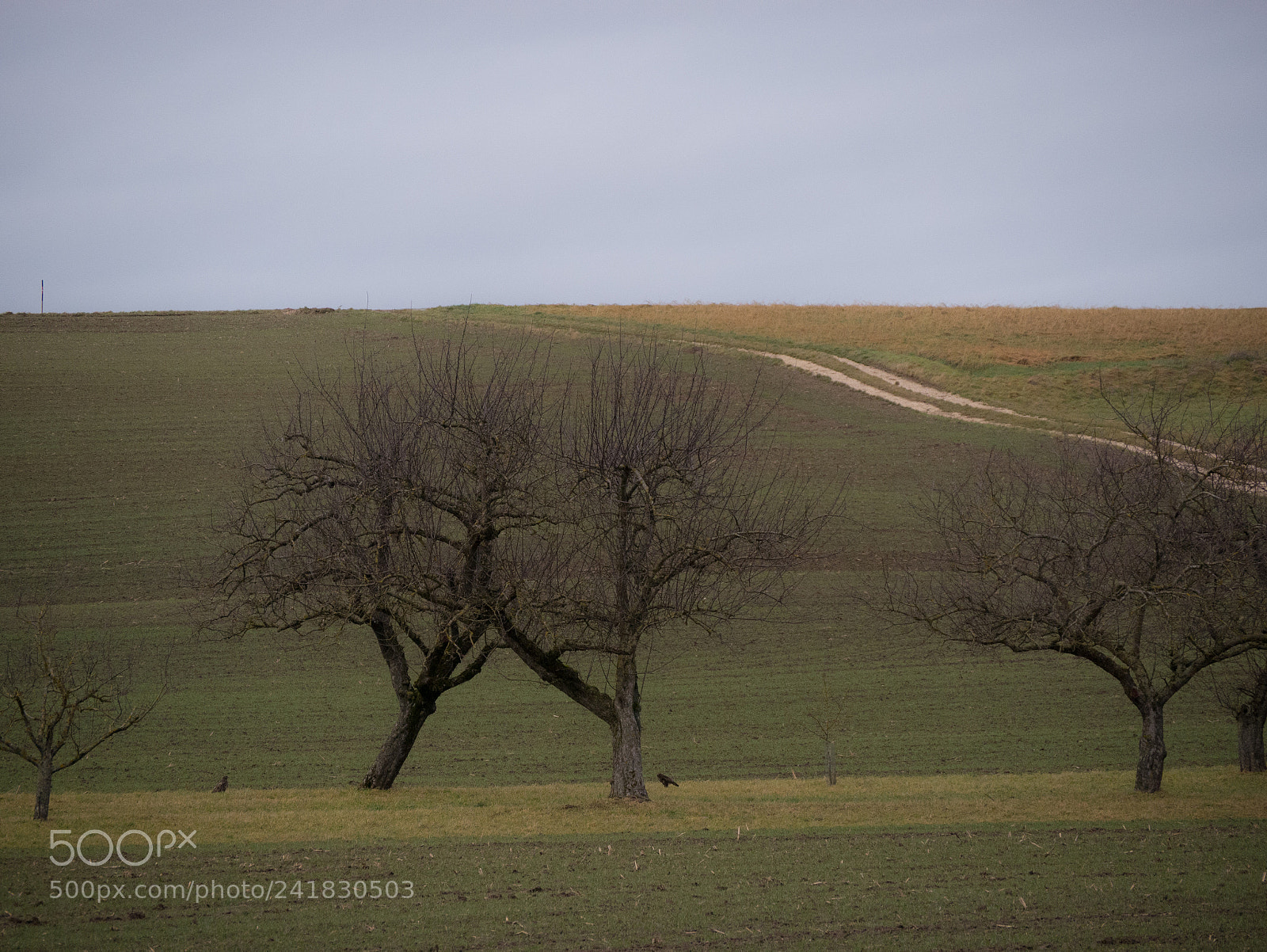 Panasonic DMC-G70 sample photo. Winter landscape photography