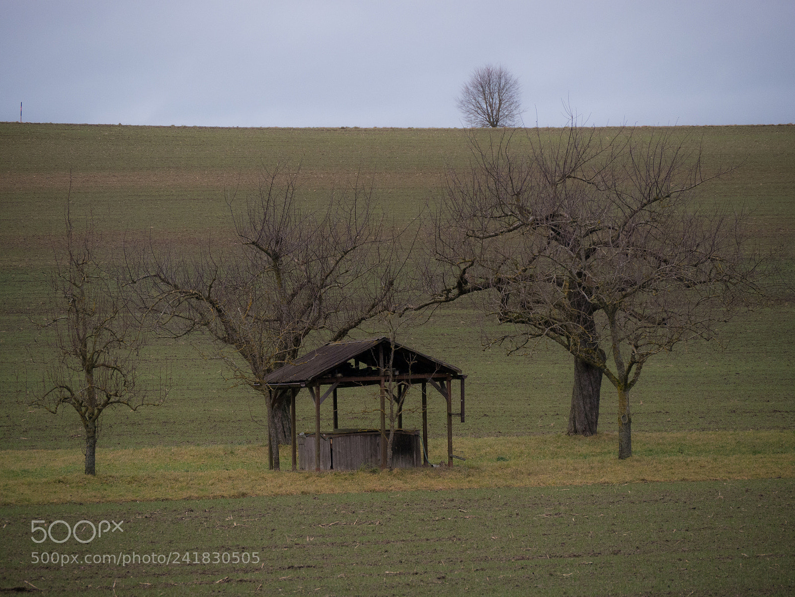 Panasonic DMC-G70 sample photo. Winter landscape photography