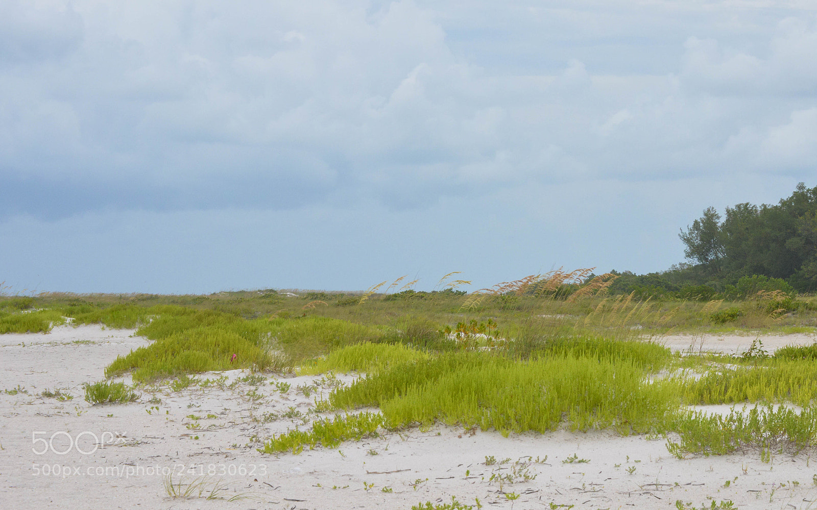 Nikon D3200 sample photo. Lido beach photography