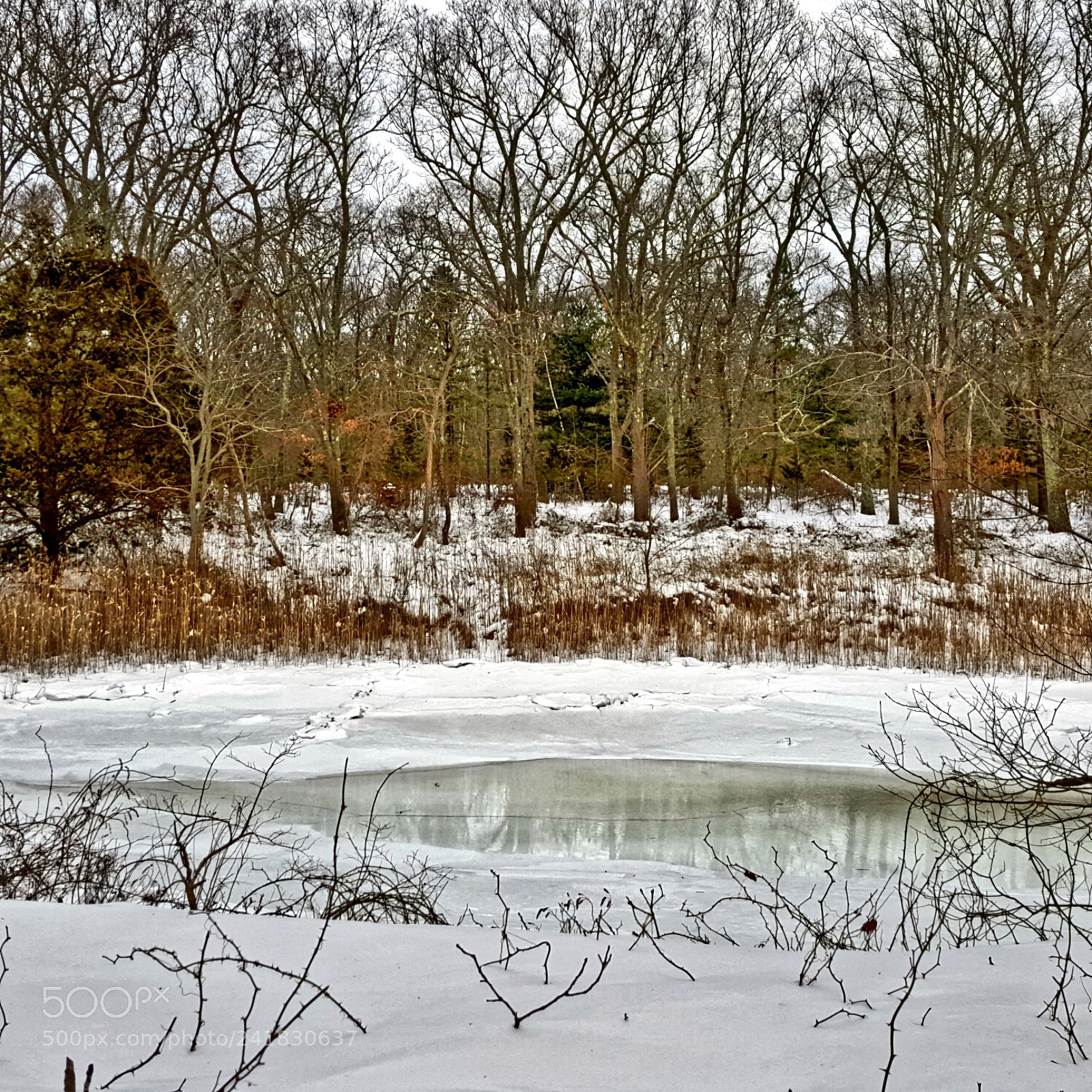 Samsung Galaxy S6 sample photo. Little thaw photography