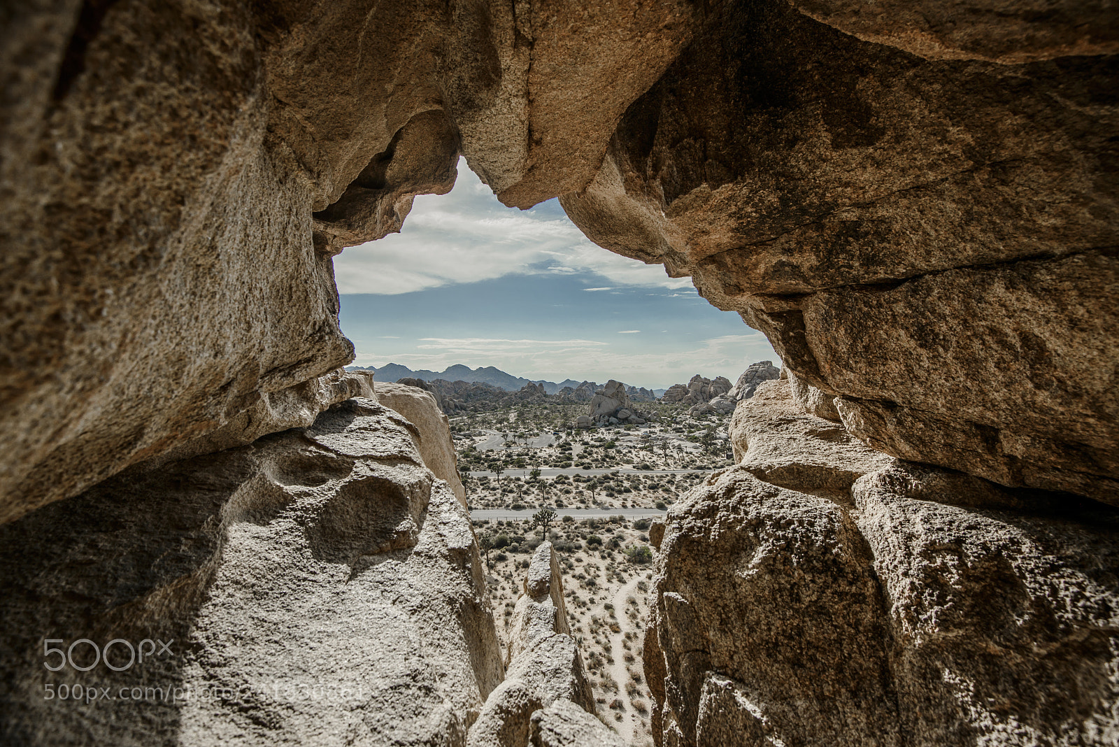 Nikon D800E sample photo. Joshua tree photography