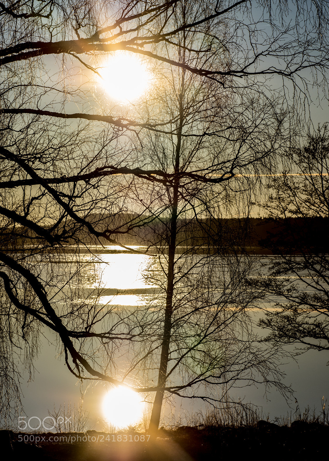 Pentax K-3 II sample photo. Wintersun photography