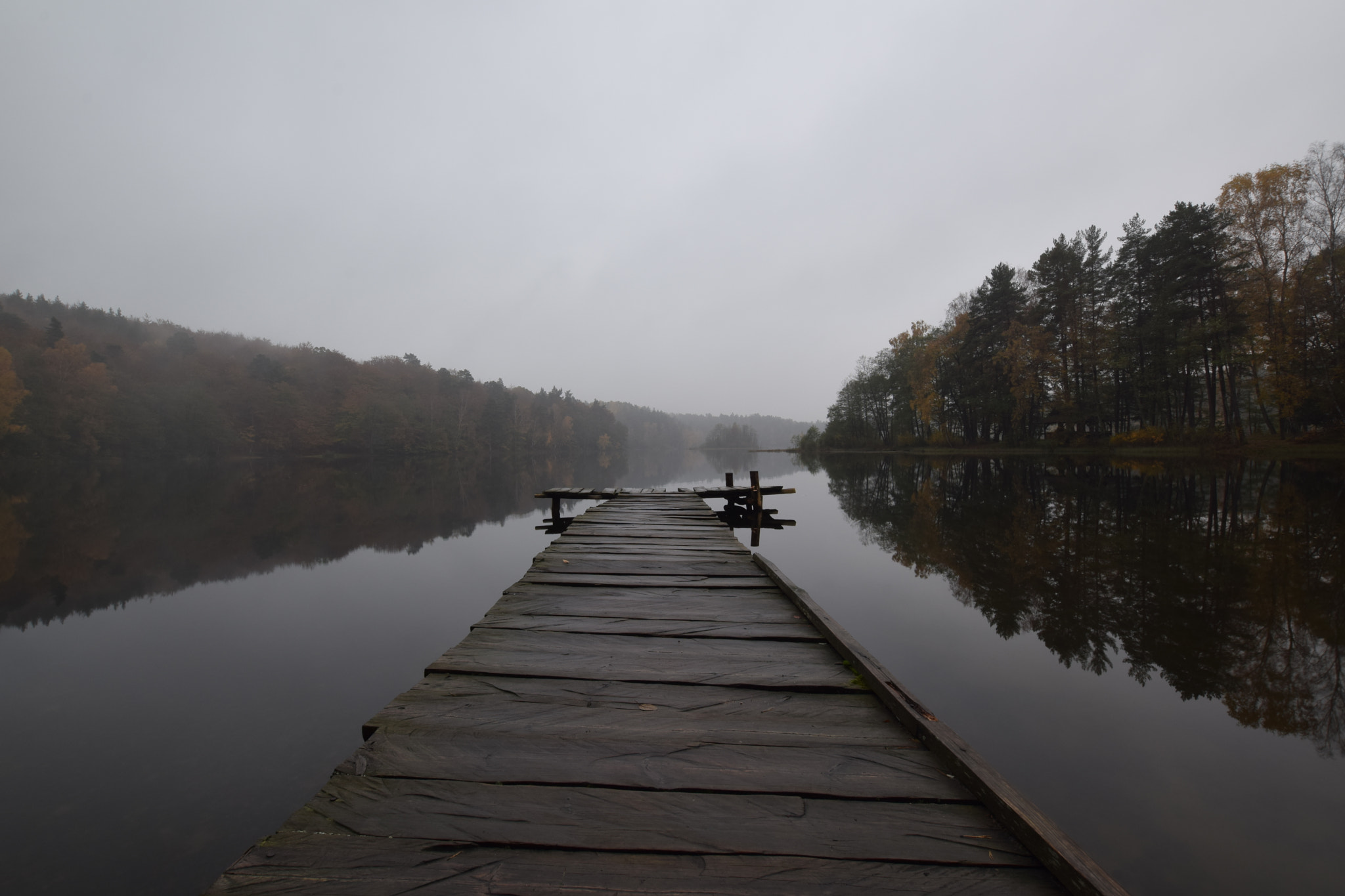 Nikon D5300 + Sigma 10-20mm F3.5 EX DC HSM sample photo. Foggy autumn day at the lake. photography
