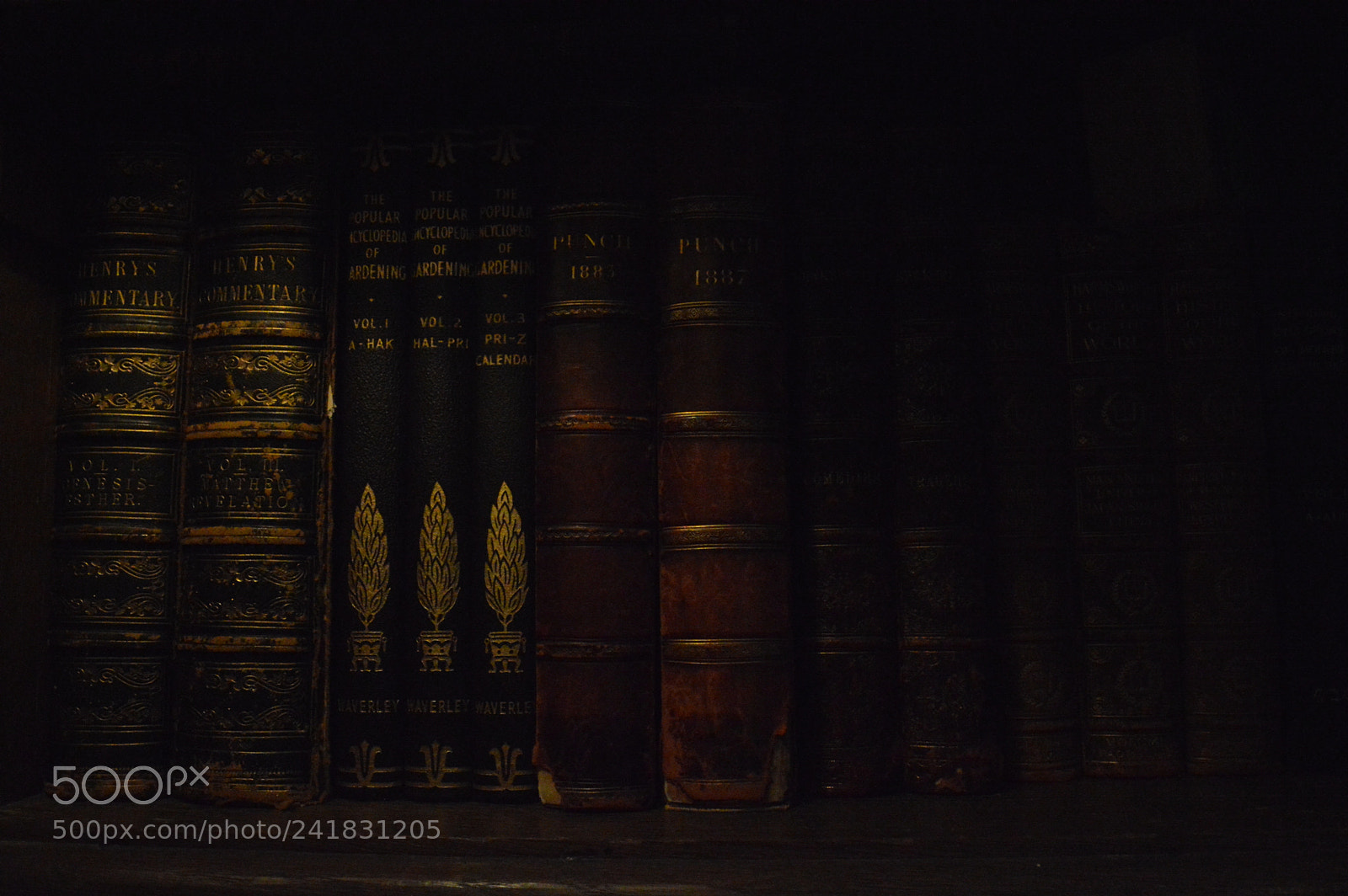 Nikon D3200 sample photo. Untitled photography