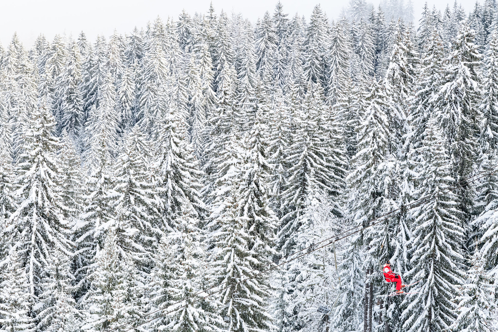 Nikon D850 sample photo. Red skier photography