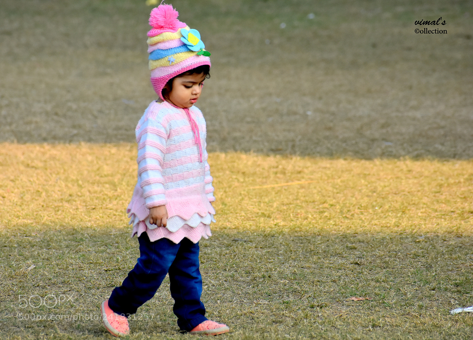 Nikon D7200 sample photo. Vim_3307-002.jpg photography