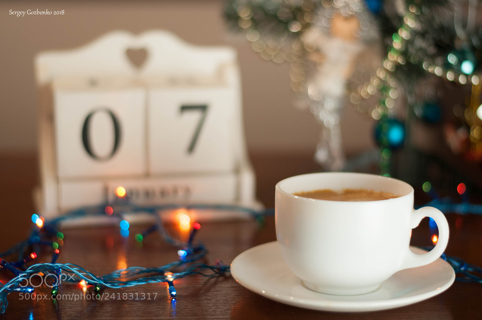 Nikon D5000 sample photo. Christmas photography