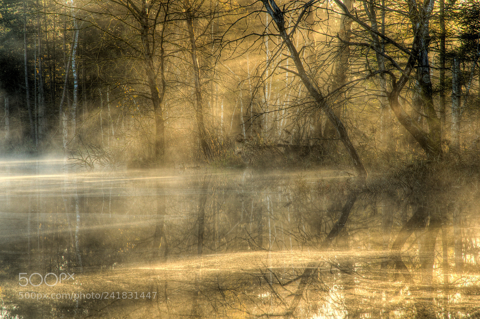 Nikon D90 sample photo. Sunrise at grossegelsee photography