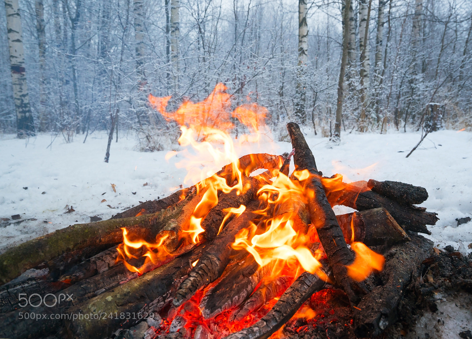 Sony a7S sample photo. The fire in the photography