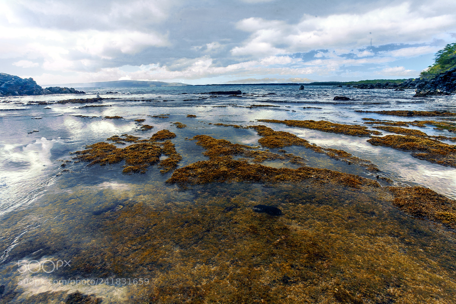 Canon EOS 5D sample photo. La perouse bay photography