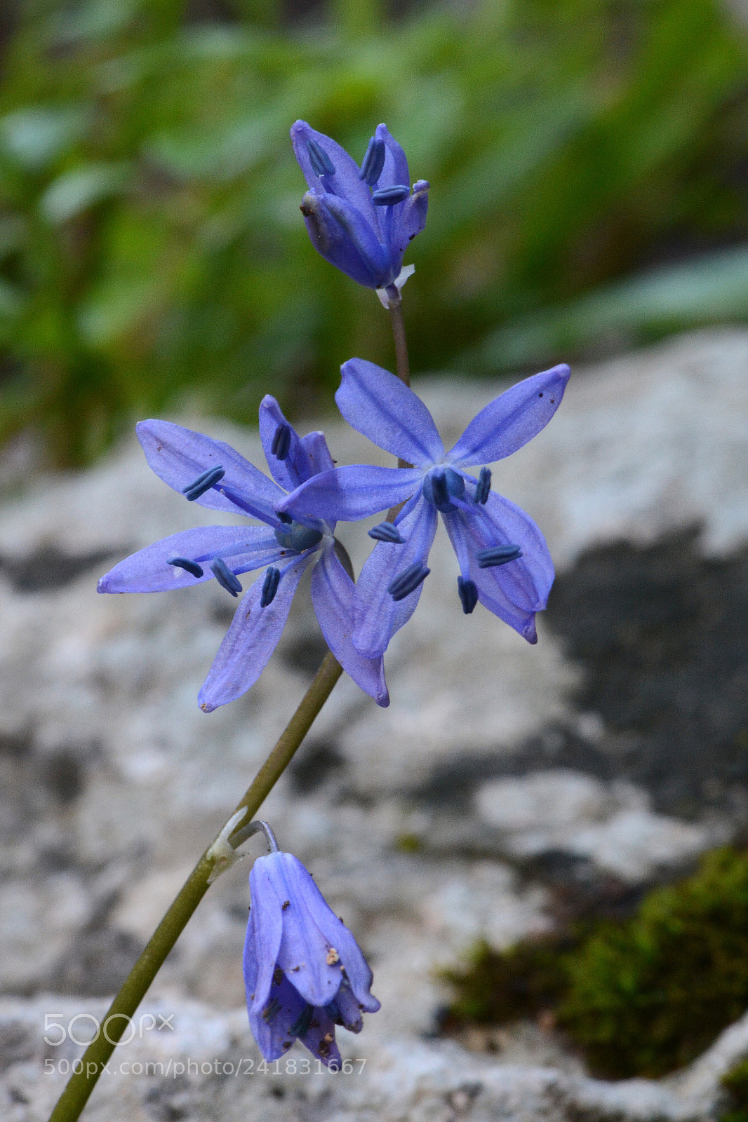 Nikon D7100 sample photo. Untitled photography