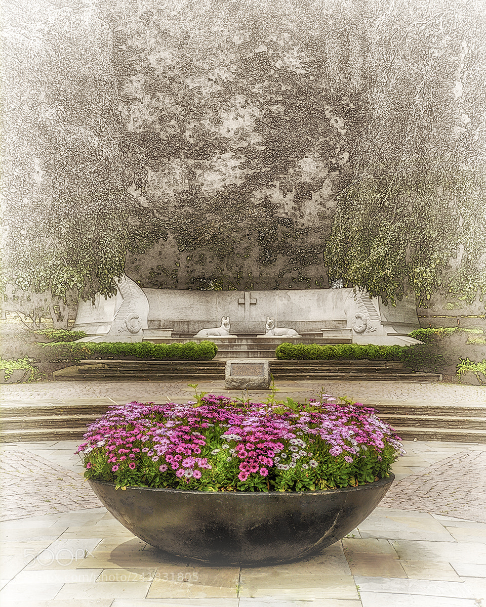 Nikon D600 sample photo. Cantigny park photography