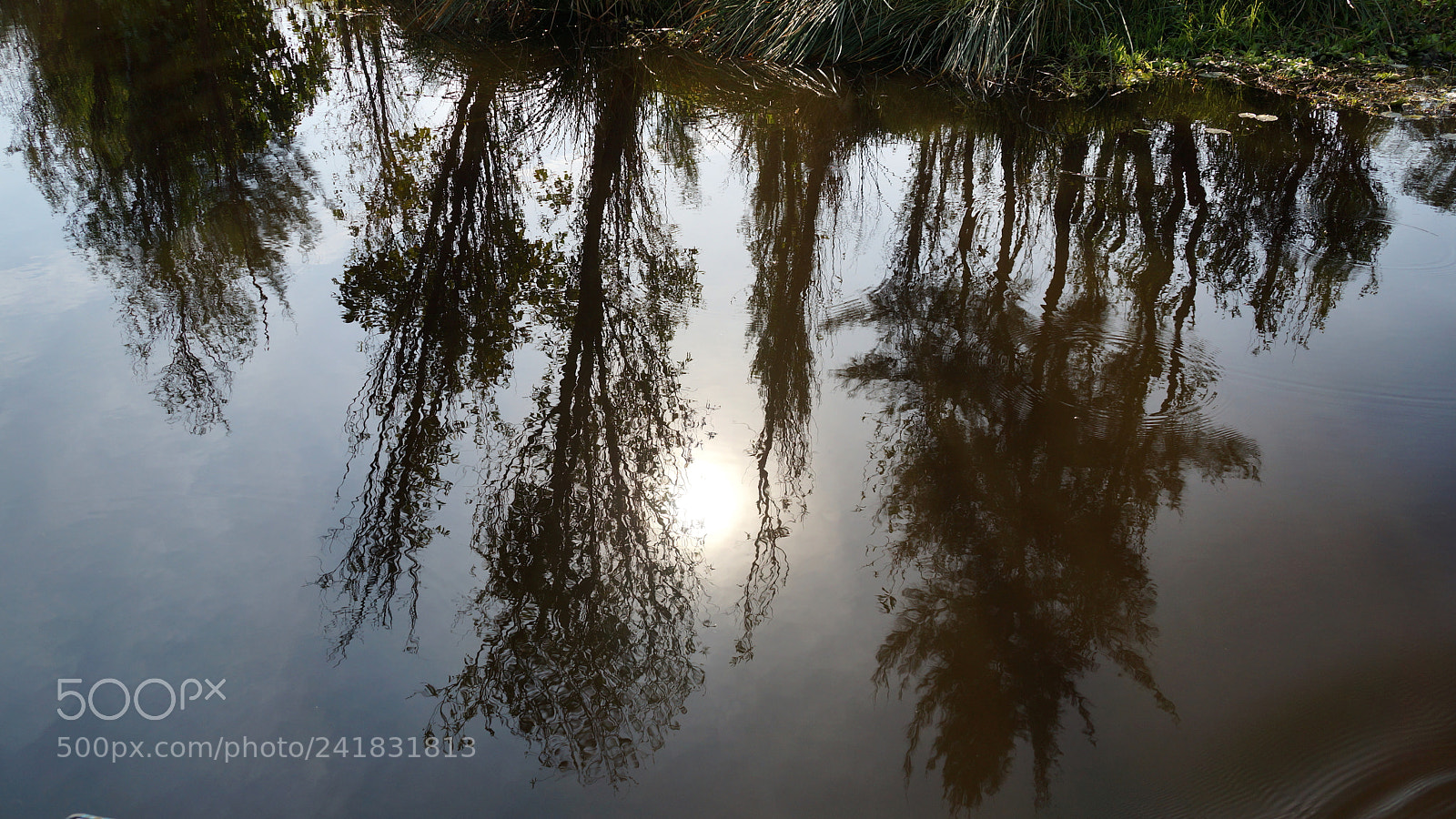 Sony SLT-A77 sample photo. Xichi5 photography