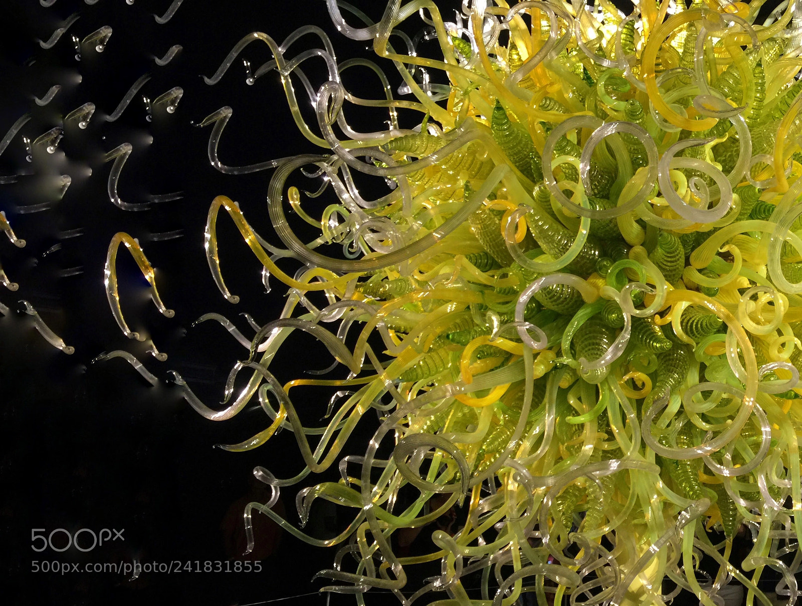 Apple iPhone 6 Plus sample photo. Chihuly photography