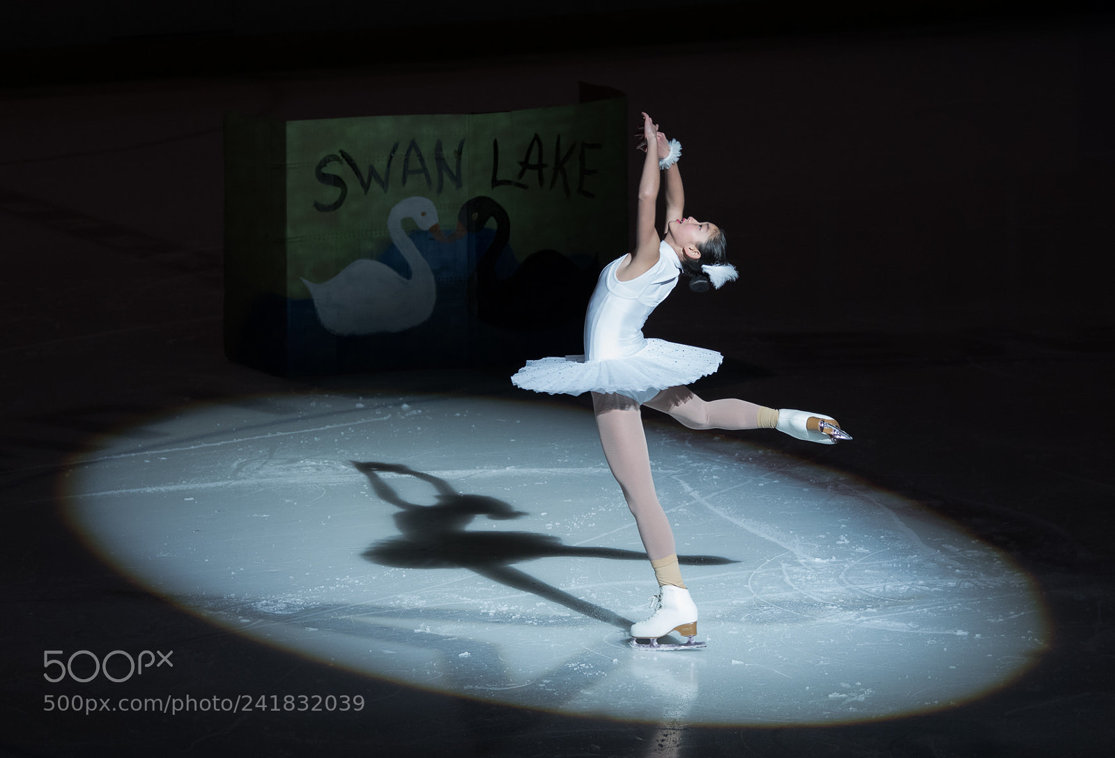Nikon D500 sample photo. Swan lake ice skating photography