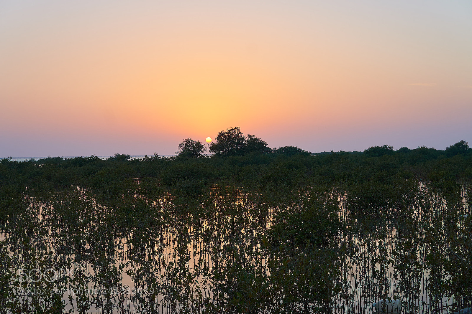 Sony a6500 sample photo. Sunset photography