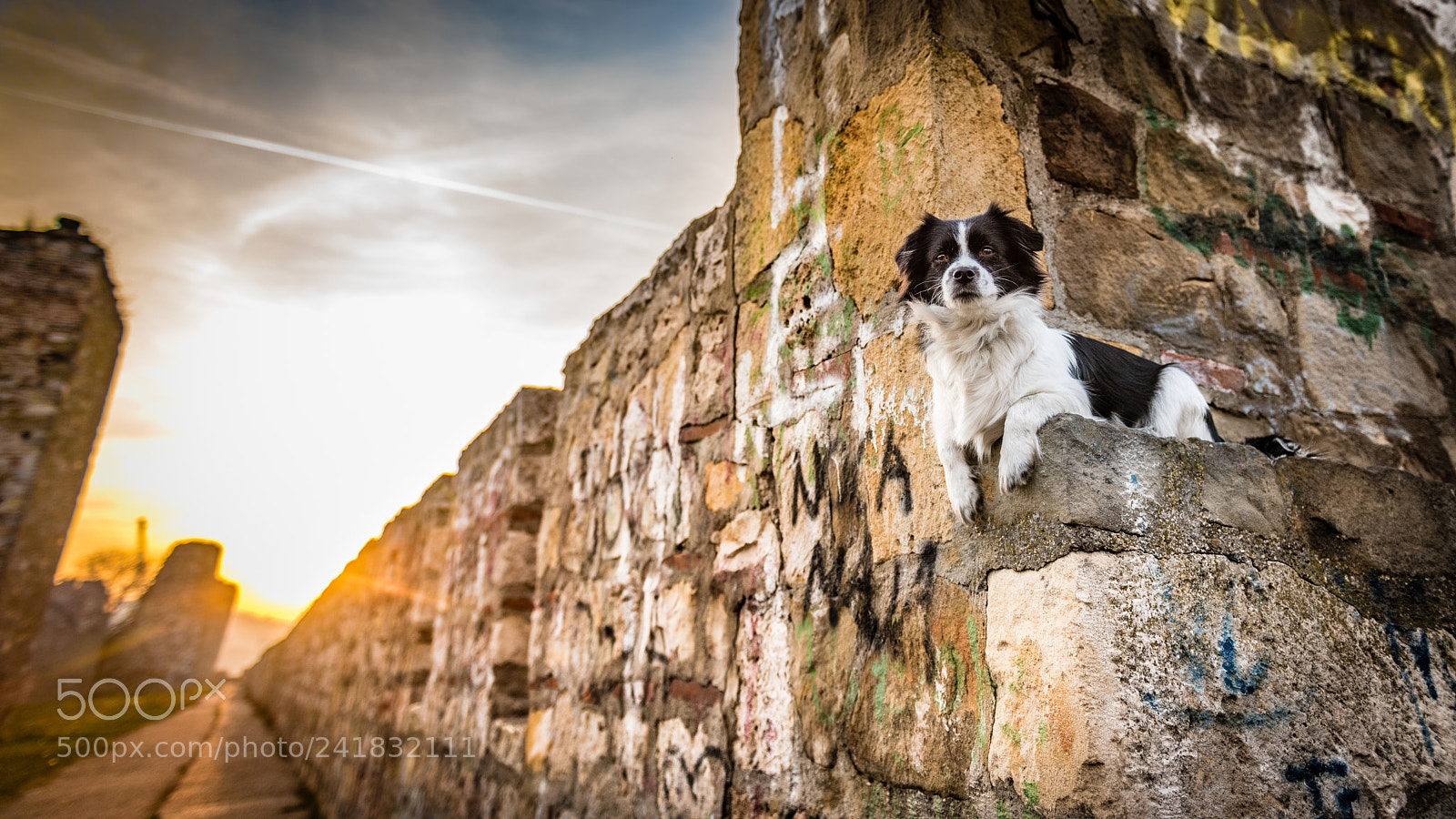 Nikon D810 sample photo. Keeper photography