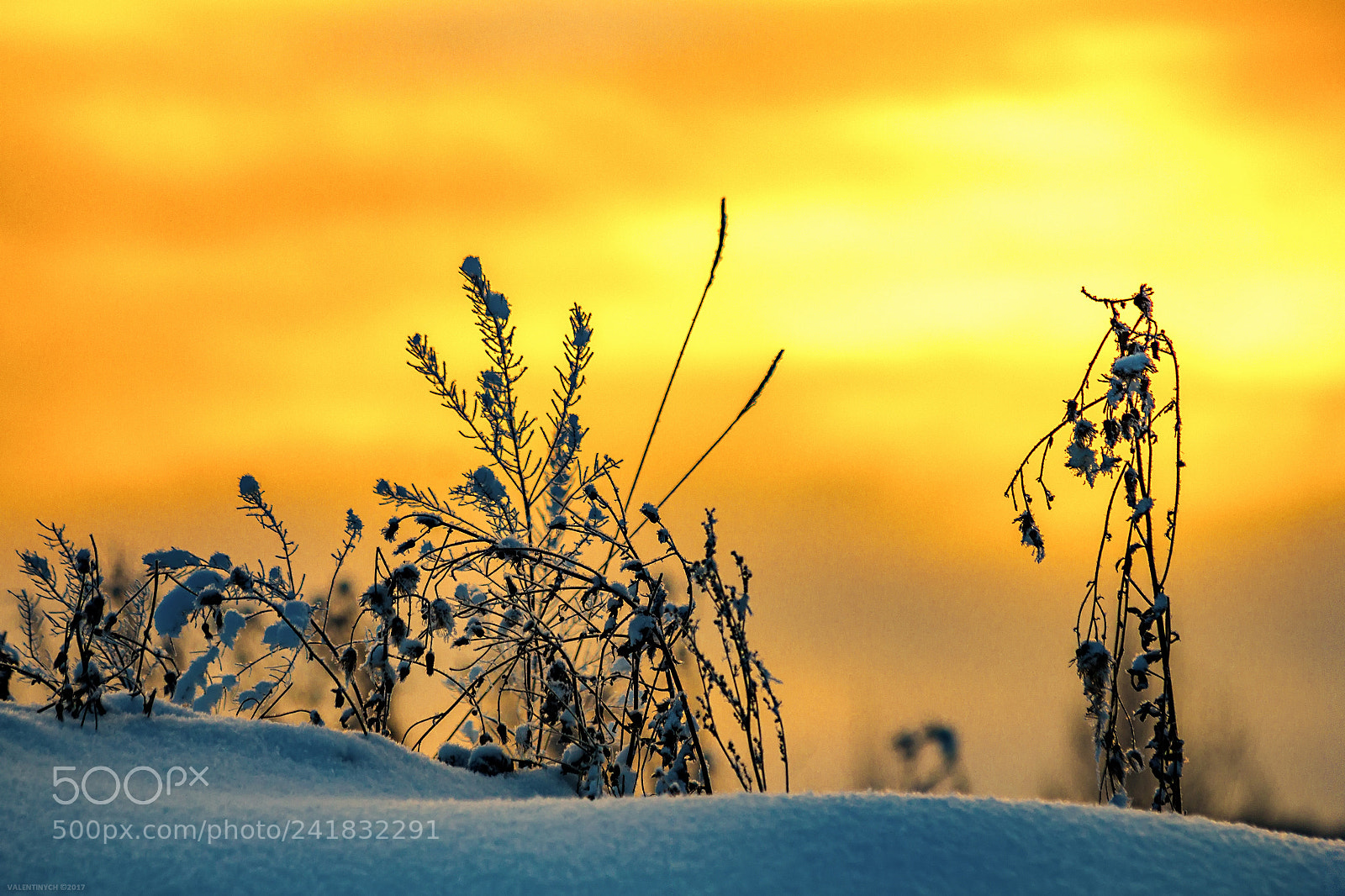 Canon EOS 60D sample photo. Sunset photography