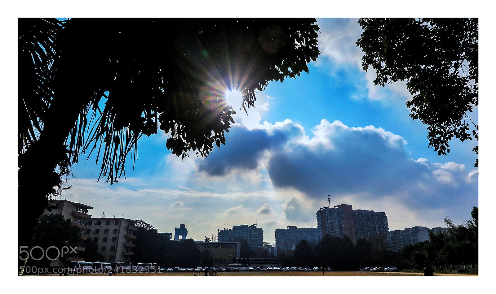 Canon PowerShot G1 X Mark II sample photo. Untitled photography