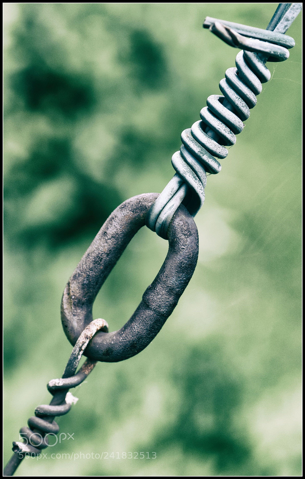 Nikon D810 sample photo. V e r b photography