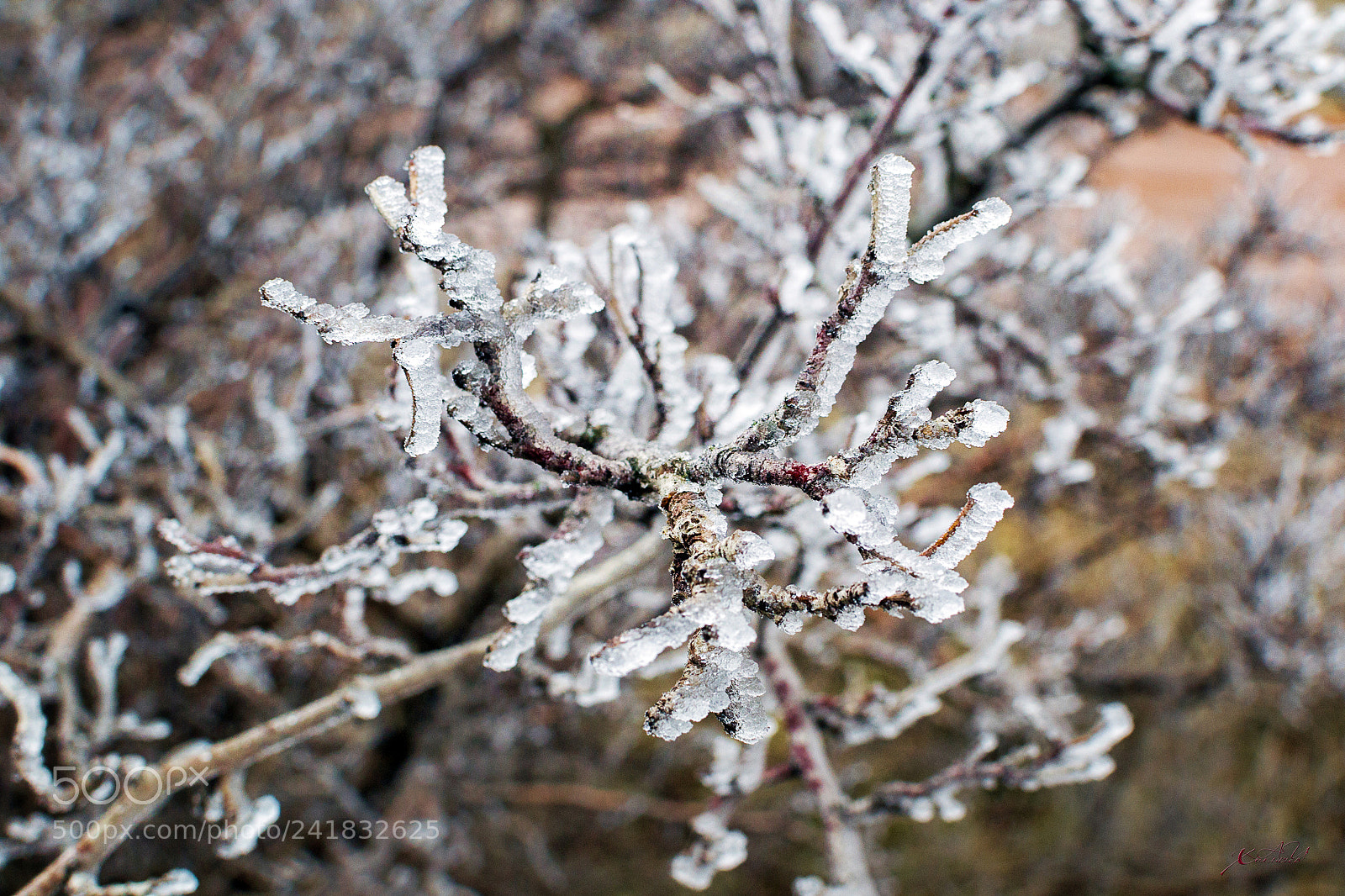 Nikon D3100 sample photo. как смарт объект photography