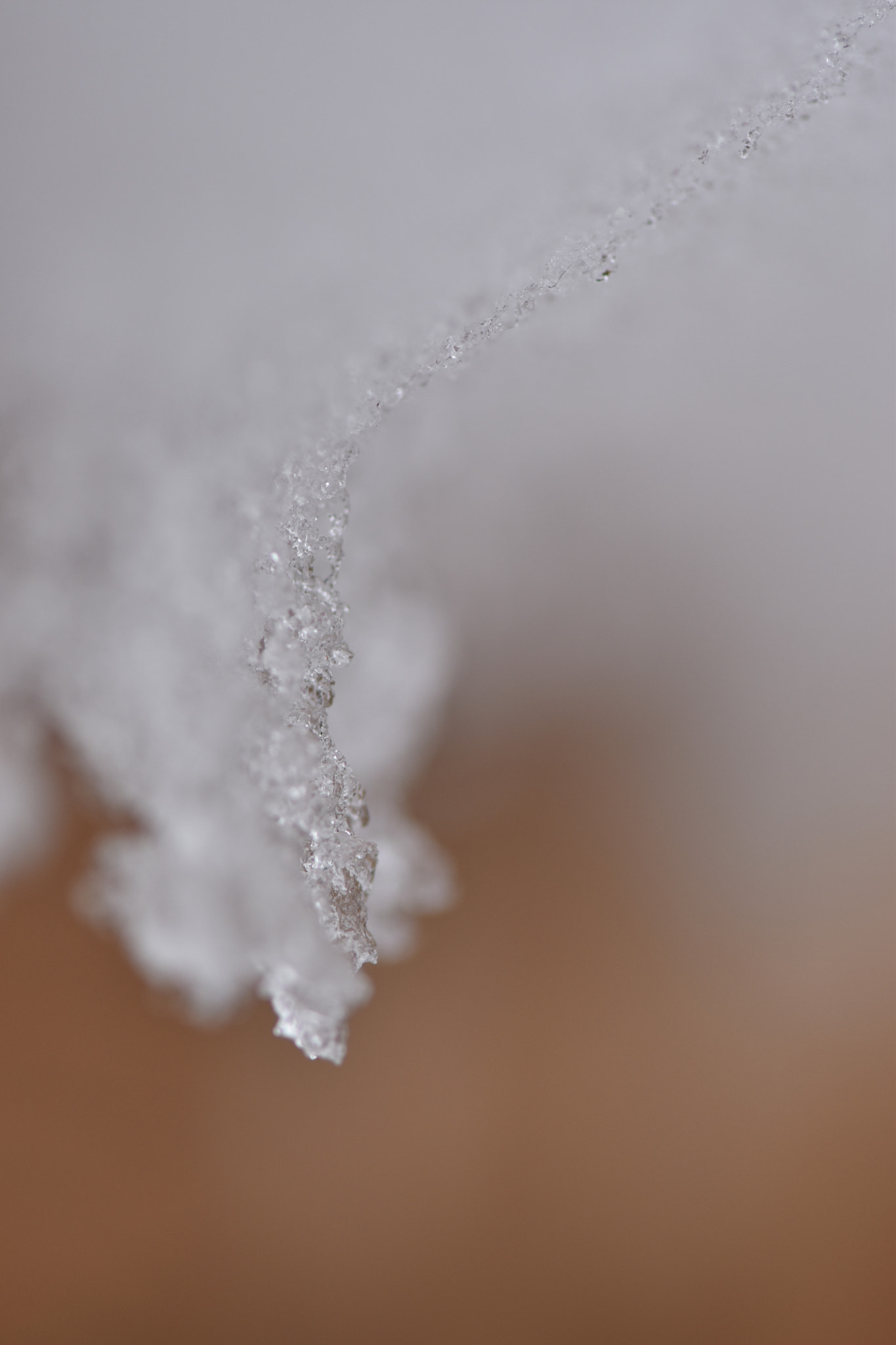 Nikon AF-S Micro-Nikkor 105mm F2.8G IF-ED VR sample photo