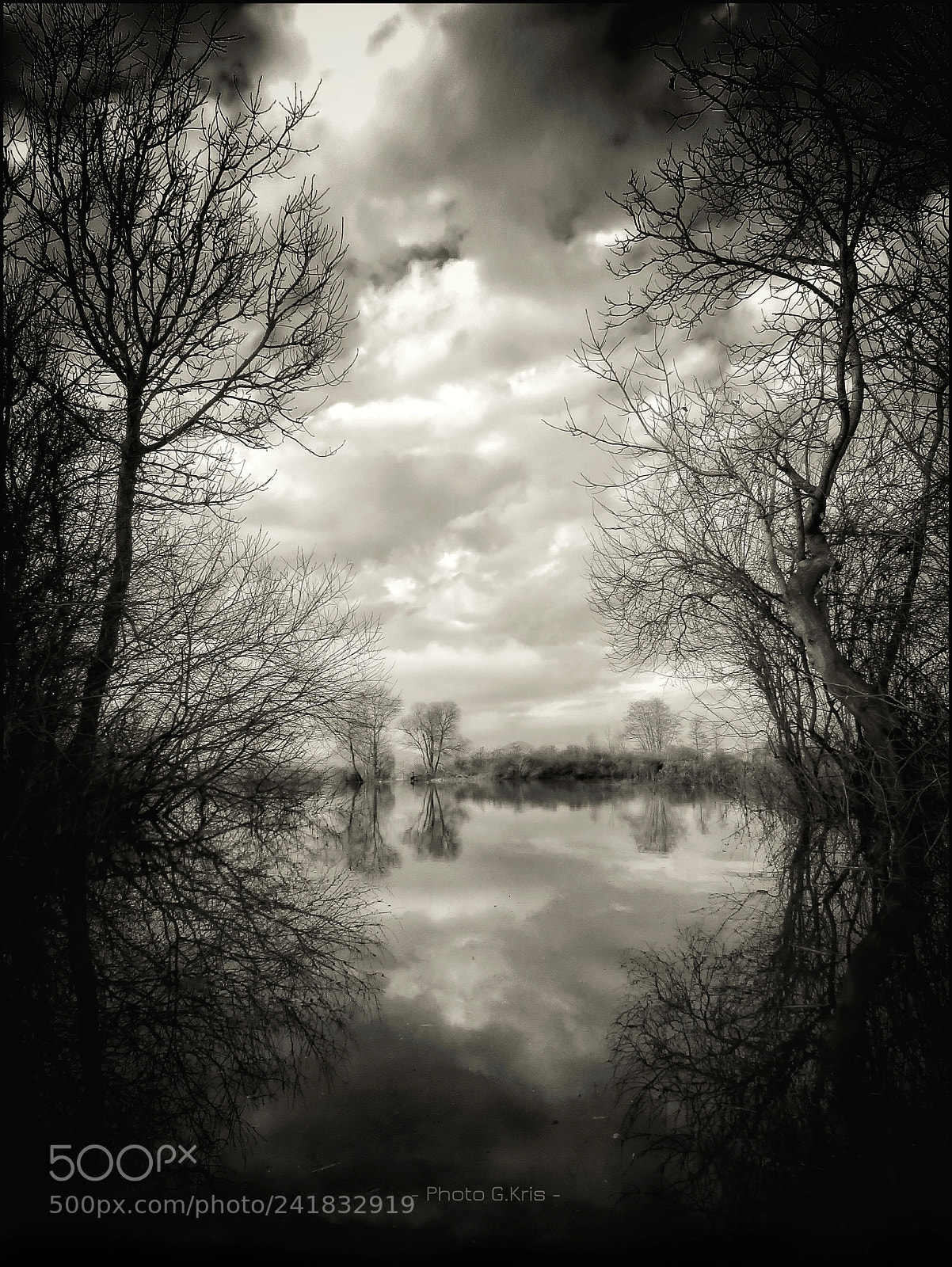Canon PowerShot SX60 HS sample photo. Black floods photography