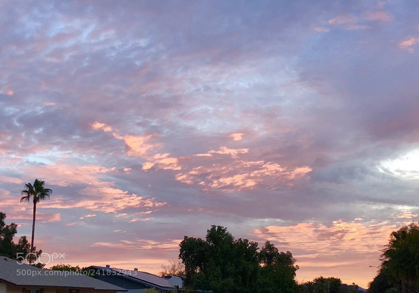 Apple iPhone 8 Plus sample photo. The dawning of a photography