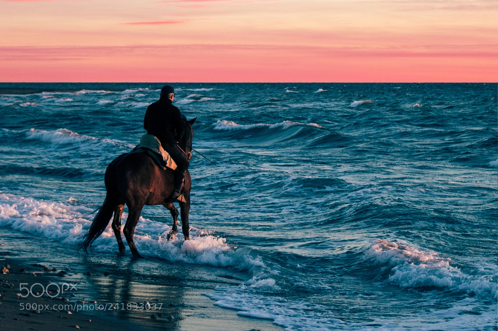 Canon EOS 1300D (EOS Rebel T6 / EOS Kiss X80) sample photo. Horse near the sea photography
