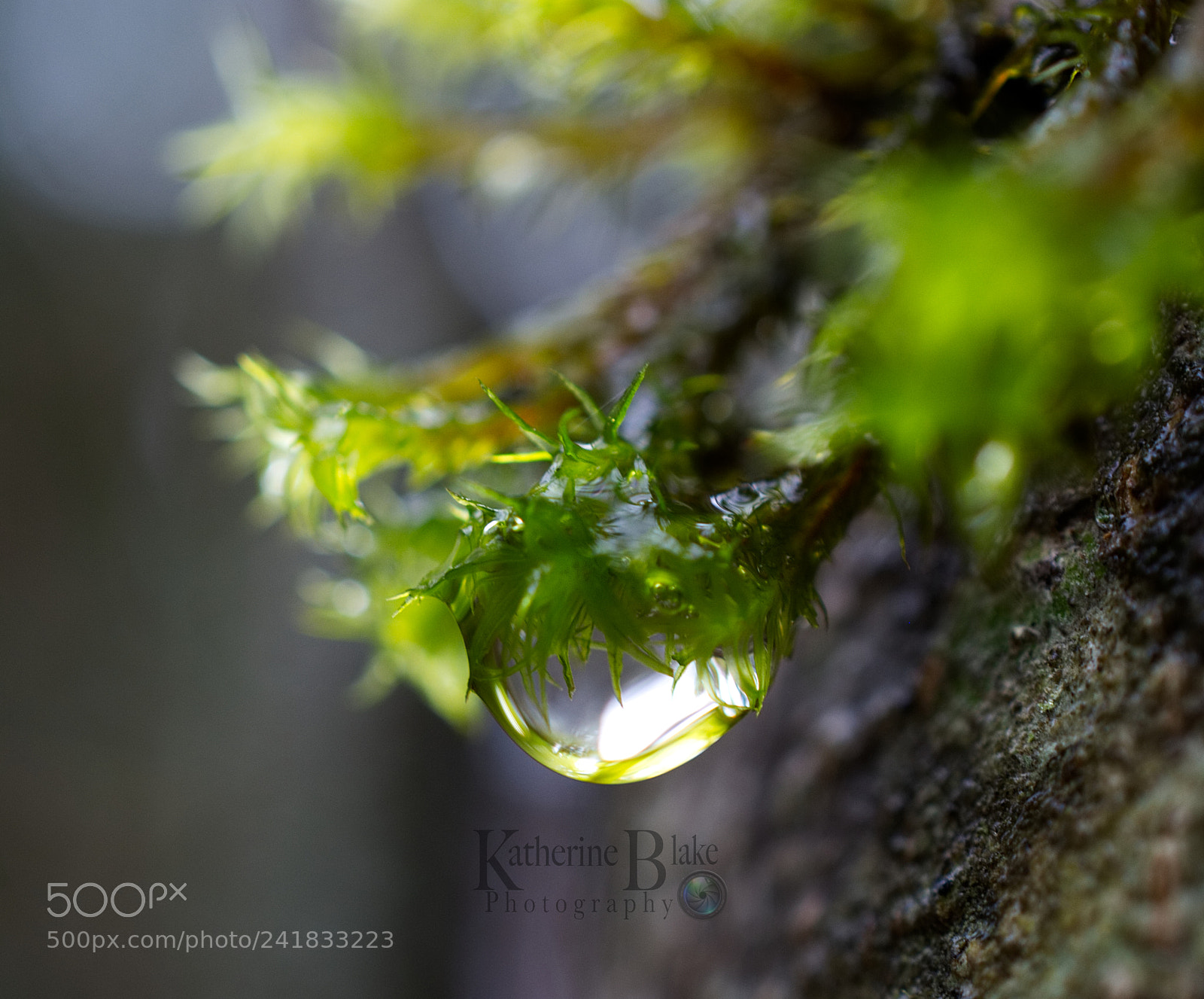 Nikon D7100 sample photo. Winter drop photography