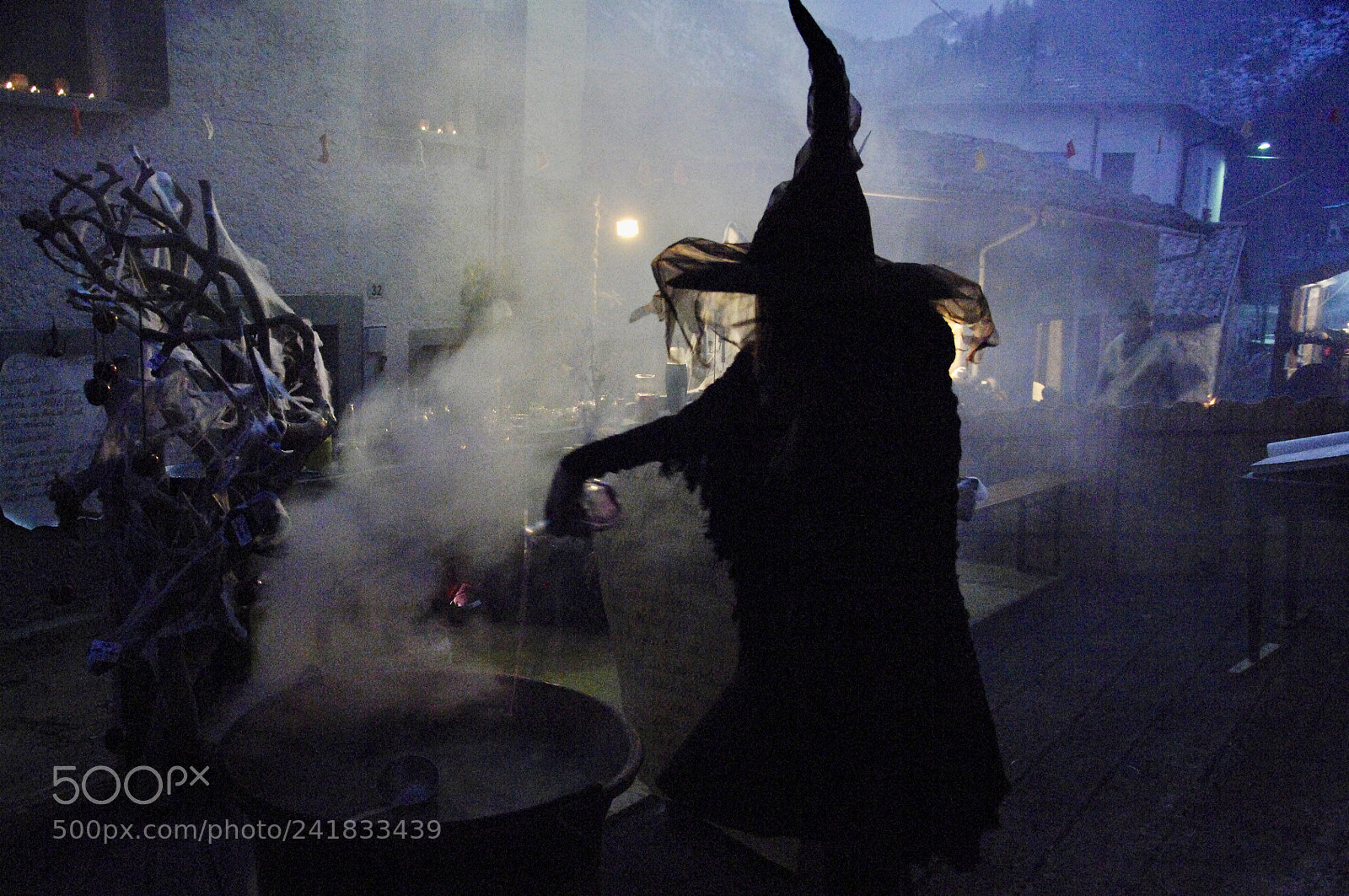 Nikon D2X sample photo. Witch at work photography