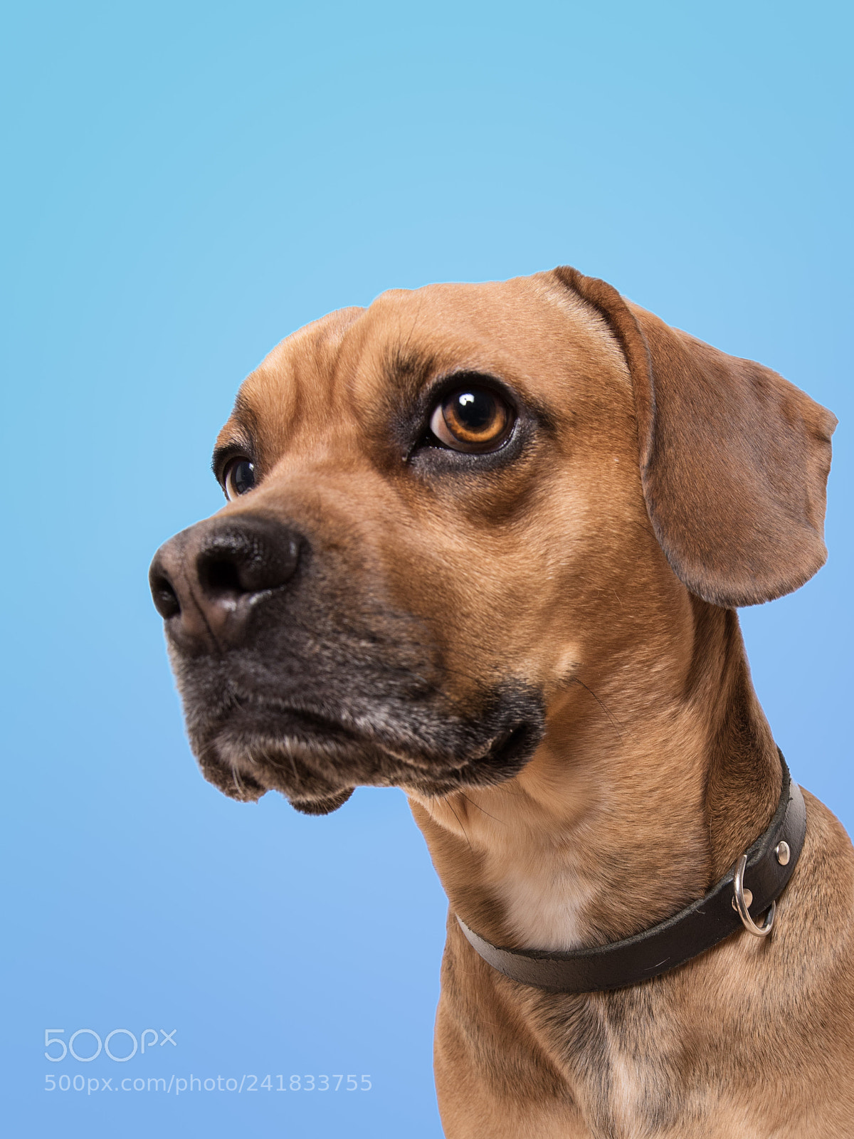 Nikon D810 sample photo. One skeptic birthday boy photography