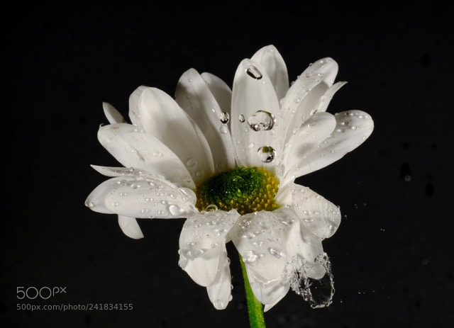 Fujifilm X-T2 sample photo. White splash photography