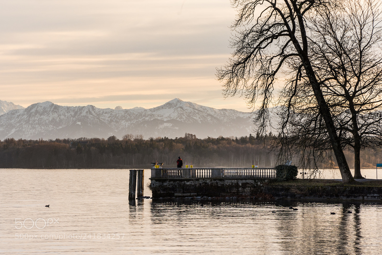 Nikon D7200 sample photo. What are you looking photography