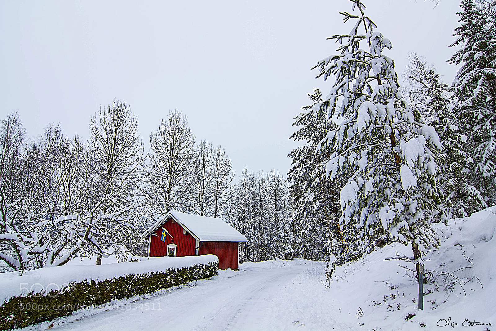 Canon EOS 550D (EOS Rebel T2i / EOS Kiss X4) sample photo. Winter is here photography