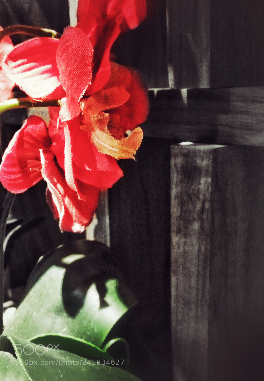 Samsung Galaxy S5 sample photo. Untitled photography