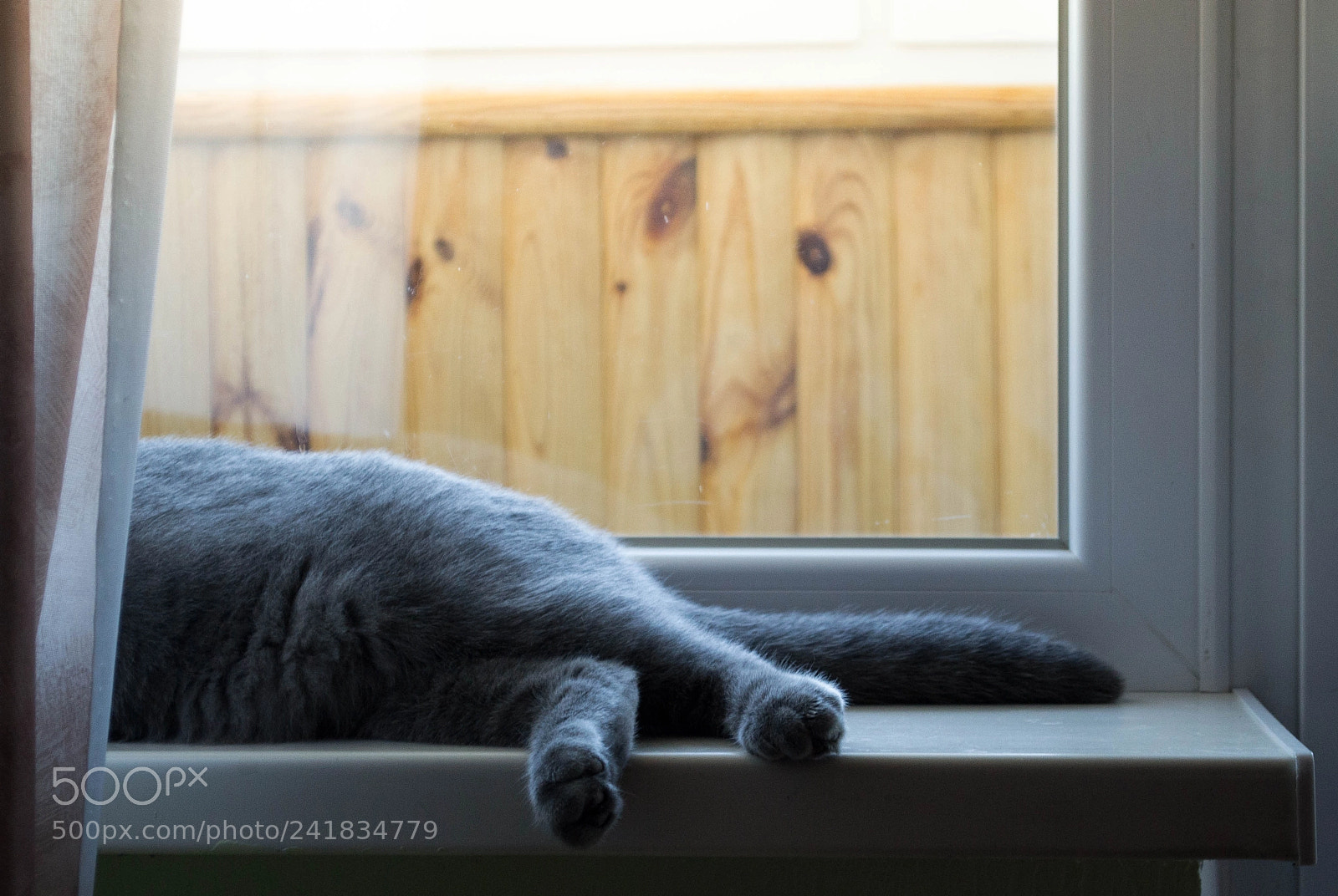 Nikon D3100 sample photo. Time to sleep photography