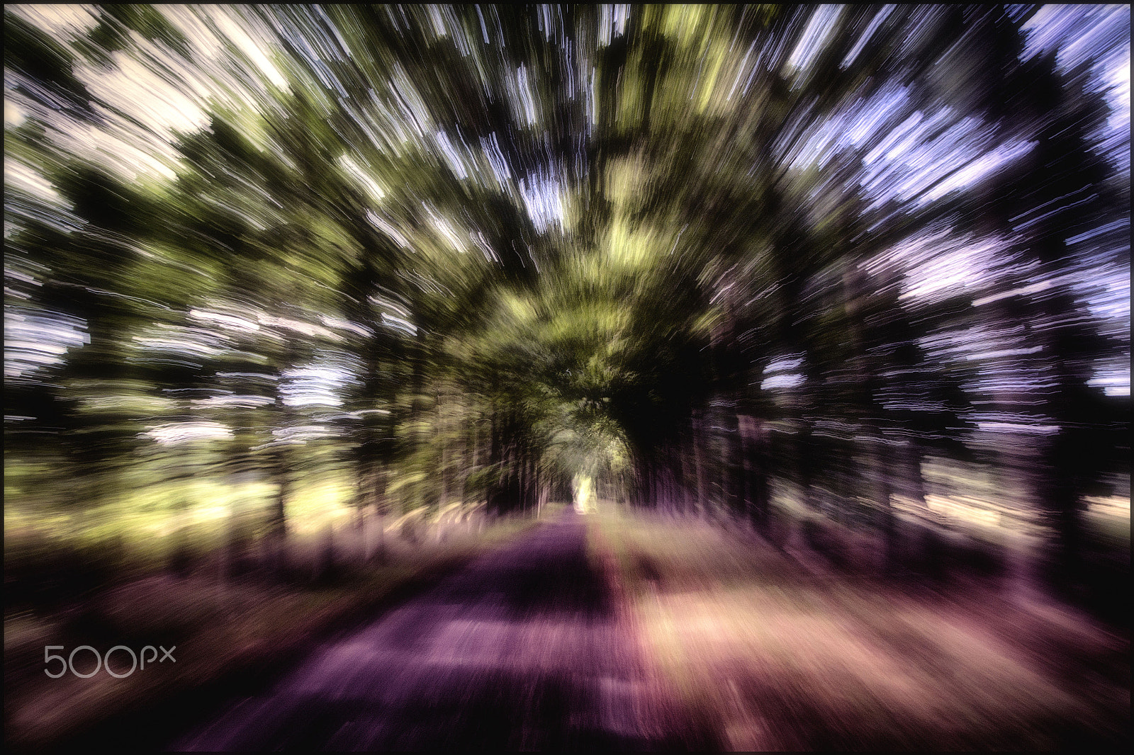 Nikon 1 V2 sample photo. Tunnel visie photography