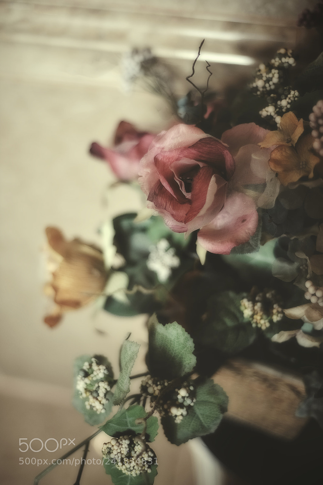 Nikon D3 sample photo. Drooping photography